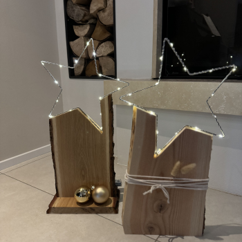 DIY- Weihnachtsstern für dein Zuhause