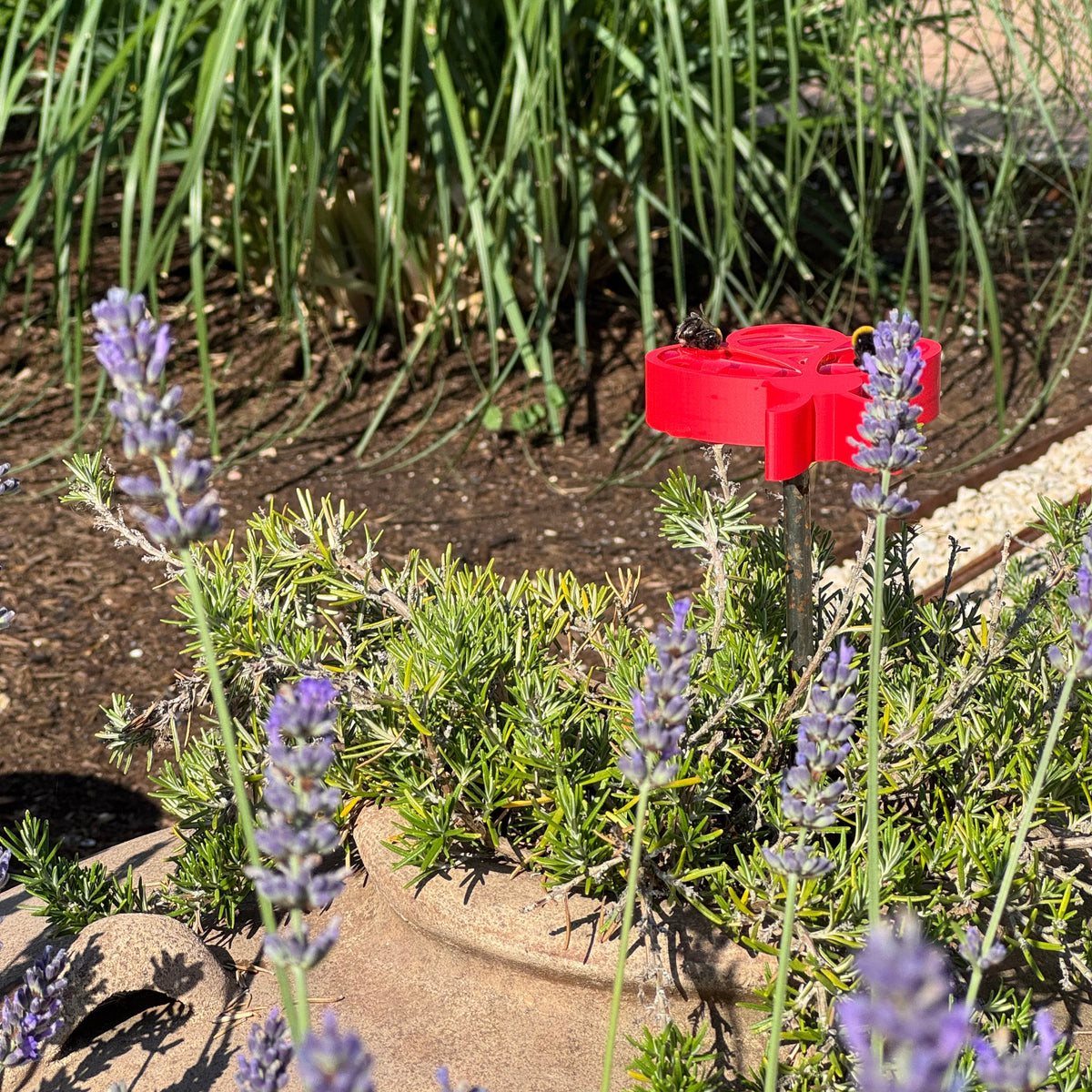 Insektentränke Biene