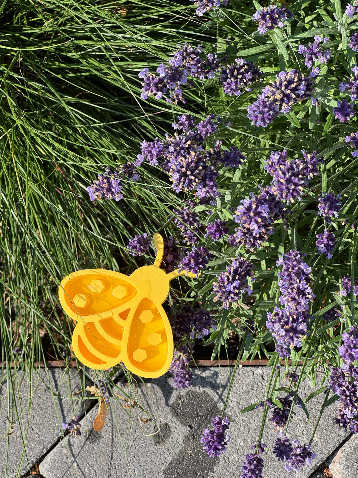 Insektentränke Biene