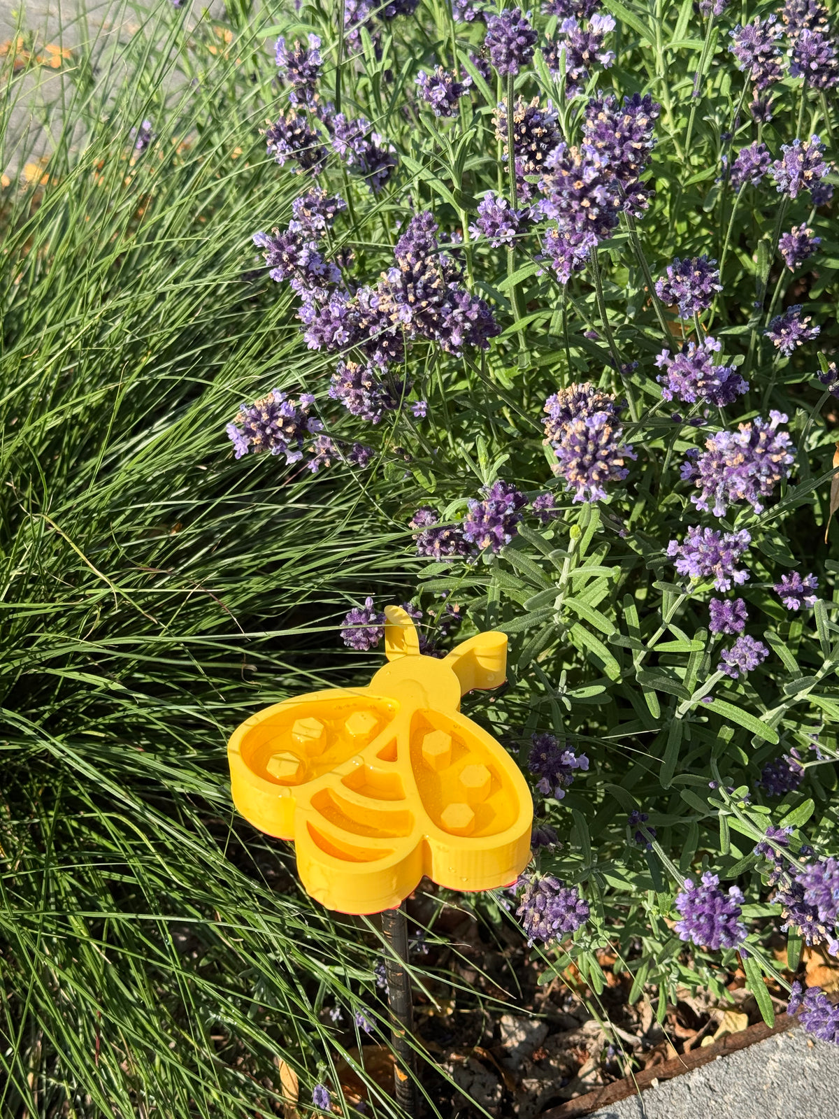 Insektentränke Biene