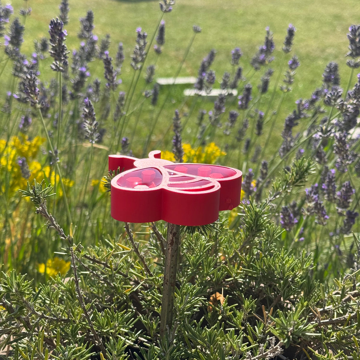 Insektentränke Biene