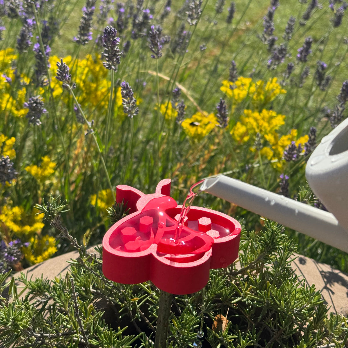 Insektentränke Biene